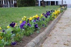 IMG_0024_1024x683