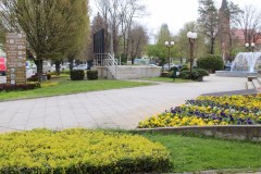 IMG_0072_1024x683