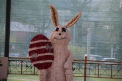 IMG_0013_1024x683