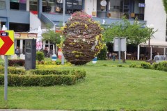 IMG_0379_1024x683