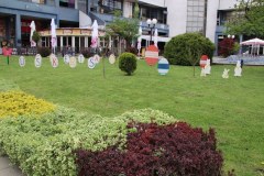 IMG_0385_1024x683