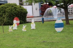 IMG_0394_1024x683