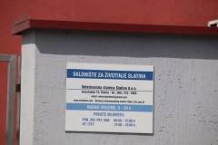 IMG_0185_1024x683