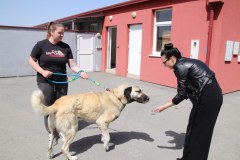IMG_0259_1024x683