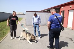 IMG_0267_1024x683