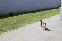 IMG_0279_1024x683