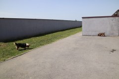 IMG_0284_1024x683