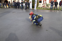 IMG_6892_1024x683