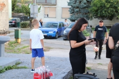 IMG_9541_1024x683