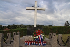 IMG_9948_1024x683