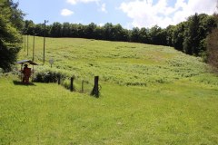 IMG_2403_1024x683