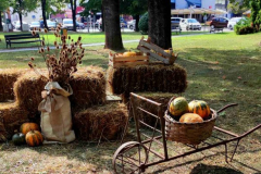 IMG-0c56a64b47c101d2f963d260c4ad738b-V_585x768