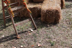 IMG-bf09a1cfc42fa809bd385cd6585467e7-V_432x768