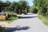 IMG 7686 1024x683