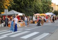 Slatinsko ljeto otvoreno uz odličnu atmosferu i nastup domaćeg TS Vertigo 23 IMG 3797 1024x683