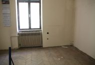 IMG 2105 1024x683