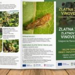 Grad Slatina: Poduzimanje mjera radi sprječavanja širenja zlatne žutice vinove loze 3 naslovna zuta